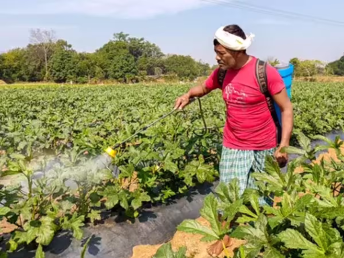 Iran Conflict Pushes India Toward Green Ammonia Contracts